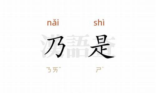 乃是的意思-乃是的意思(水浒传)